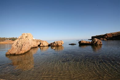 Flamingos Hotel - Image 4