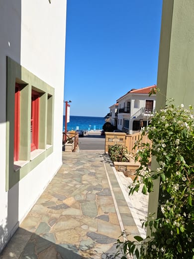 The Flower of Monemvasia - Image 5