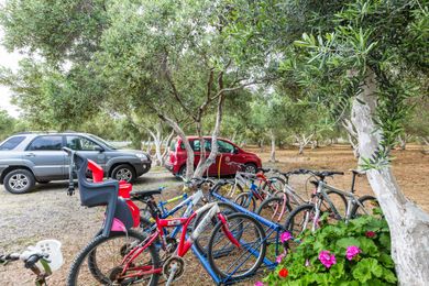 Fata Morgana - Image 7