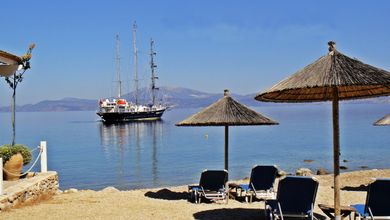 Bellevalia Hydra - Image 2