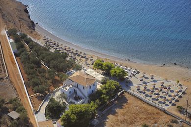 Bellevalia Hydra - Image 3