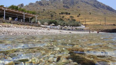 Bellevalia Hydra - Image 4