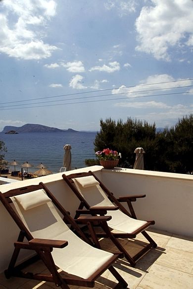 Bellevalia Hydra - Image 5