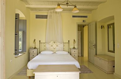 Bellevalia Hydra - Image 6