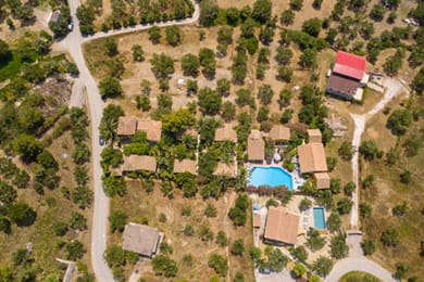 Garden of Eden Zante - Image 4