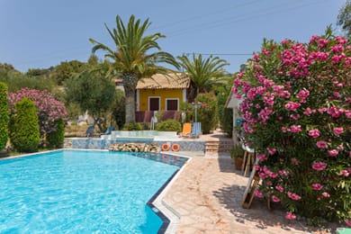 Garden of Eden Zante - Image 5