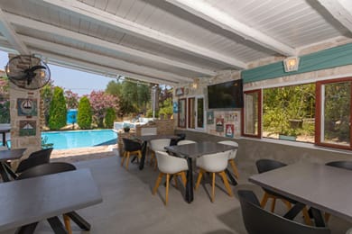 Garden of Eden Zante - Image 6