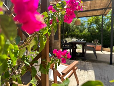 Garden view apartment