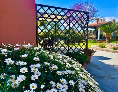 Genari Beach Apartments Ilia - Image 4