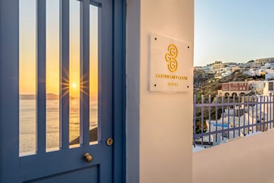 Golden Grey Goose - Image 5