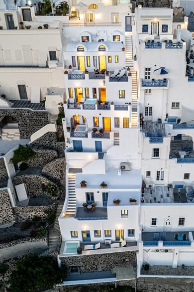 Golden Grey Goose - Image 6