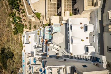 Golden Grey Goose - Image 4