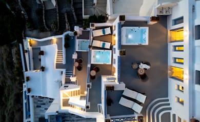 Golden Grey Goose - Image 3