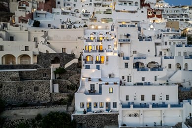 Golden Grey Goose - Image 2