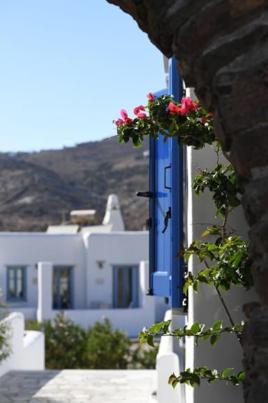 Flower Rooms