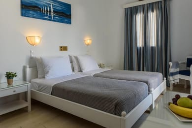 Superior Twin Room