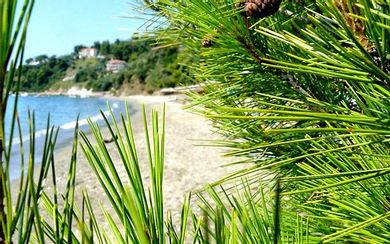 Panoramic View Villa King Minoas