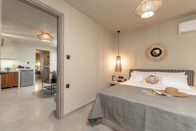 Deluxe Villa with private pool