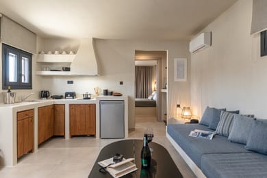 Deluxe Villa with private pool