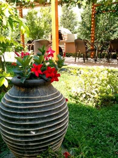 Golden Rose Suites - Image 7