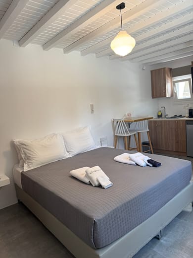 Standard Apartment Potamia