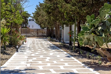 Green Dream Tinos - Image 2