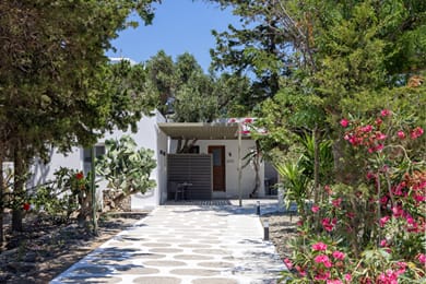 Green Dream Tinos - Image 3