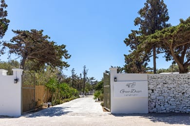 Green Dream Tinos - Image 7