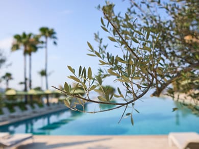 Grecotel Filoxenia Kalamata - Image 6