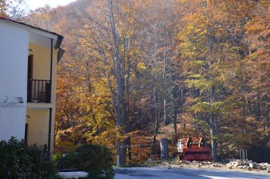 Hani Zisi Hotel - Image 2