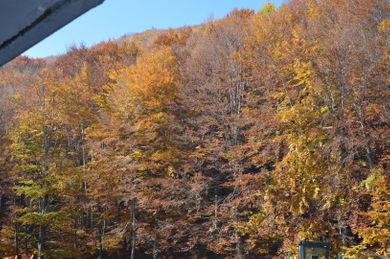 Hani Zisi Hotel - Image 3