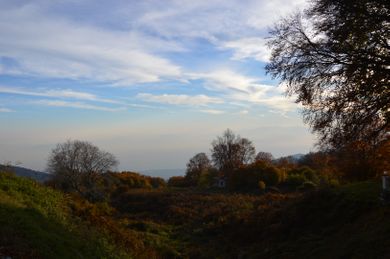 Hani Zisi Hotel - Image 5