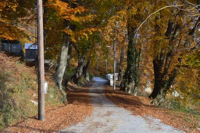 Hani Zisi Hotel - Image 6