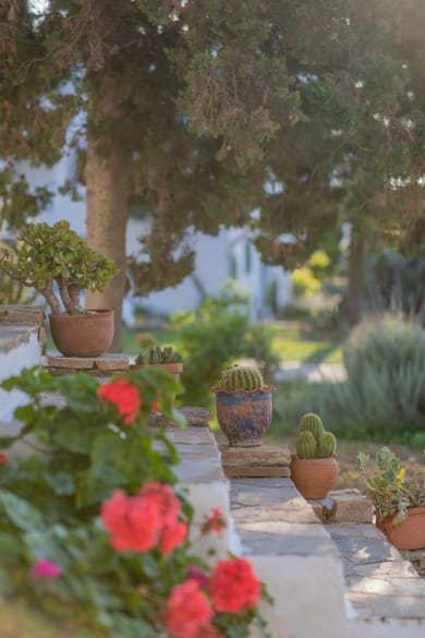 Antonina Hotel - Image 5