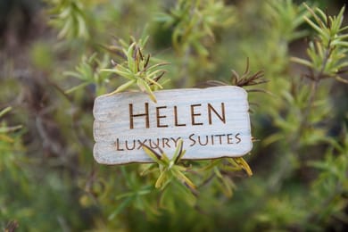 Hotel Gallery