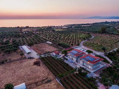 Terra Hélios Suites & Studios - Image 3