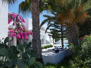 Hippocampus Hotel - Image 3