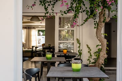 Hippocampus Hotel - Image 5