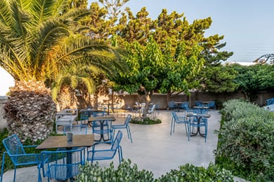 Hippocampus Hotel - Image 7