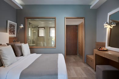 Double Room Pool View (Deluxe Area)
