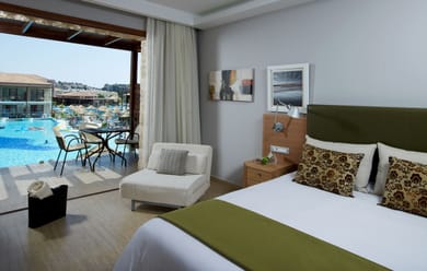 Double Room Pool View (Relax or Activity Area)