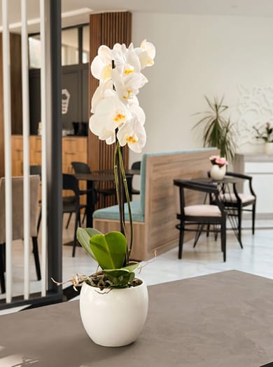 The Honeycomb Boutique Hotel - Image 2