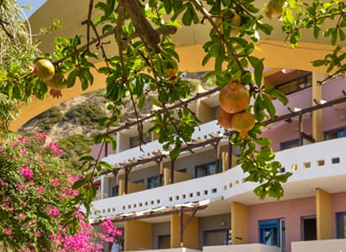 Horizon Beach Hotel Plakias - Image 2