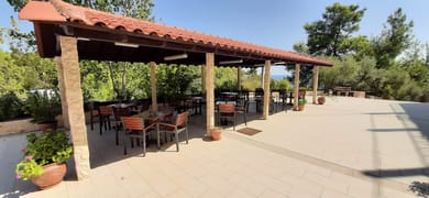 Hotel Aphrodite - Image 4