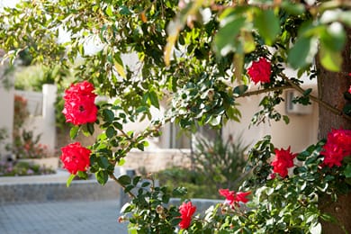 Hotel Estia - Image 2