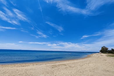 The House of The Roses - Image 7