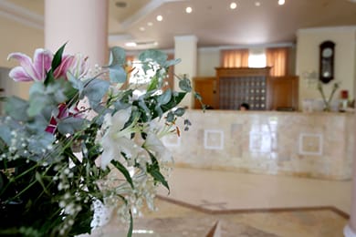 Hotel Philippos Livadeia - Image 2