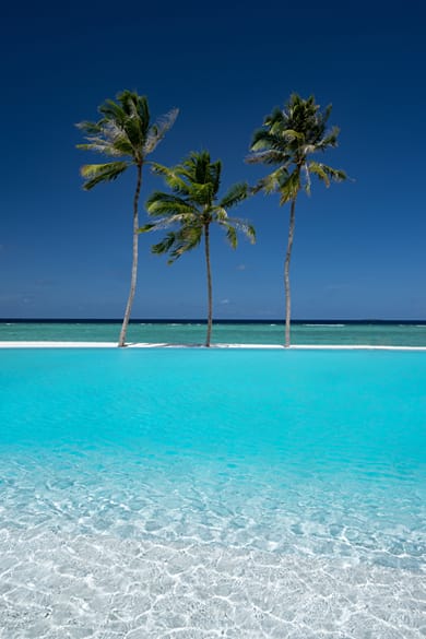 Ifuru Island Maldives - Image 4