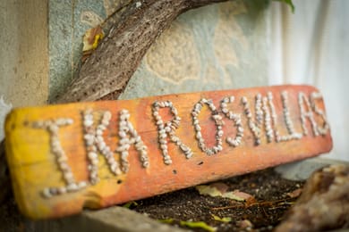 Crete Essence Villas – Makrygialos - Image 4