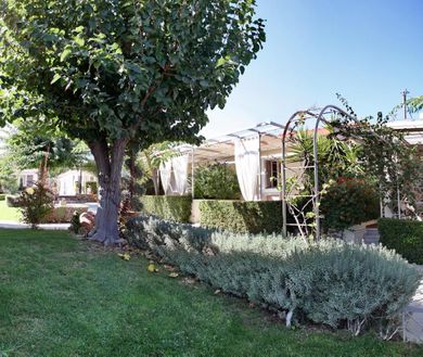 Ikies Lesvos - Image 5